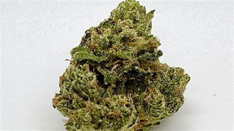 Valley Vixen Weed Strain Information